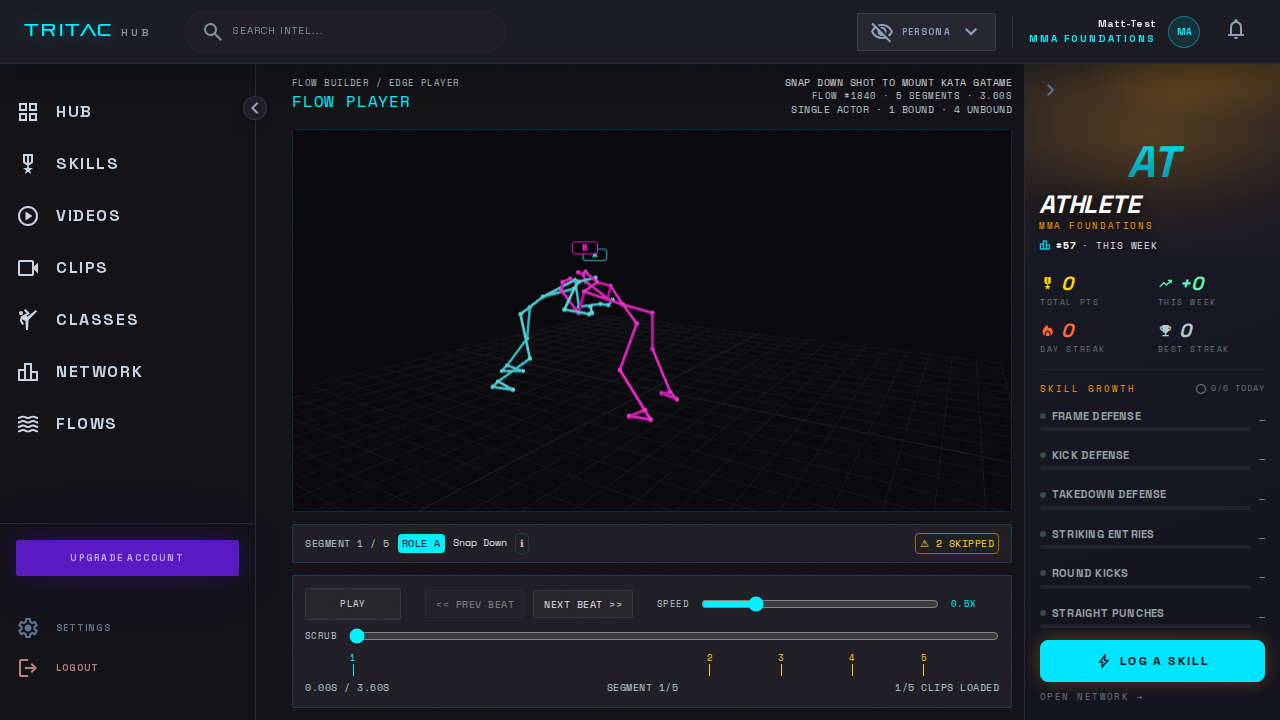 The 3D flow player rendering two fighters