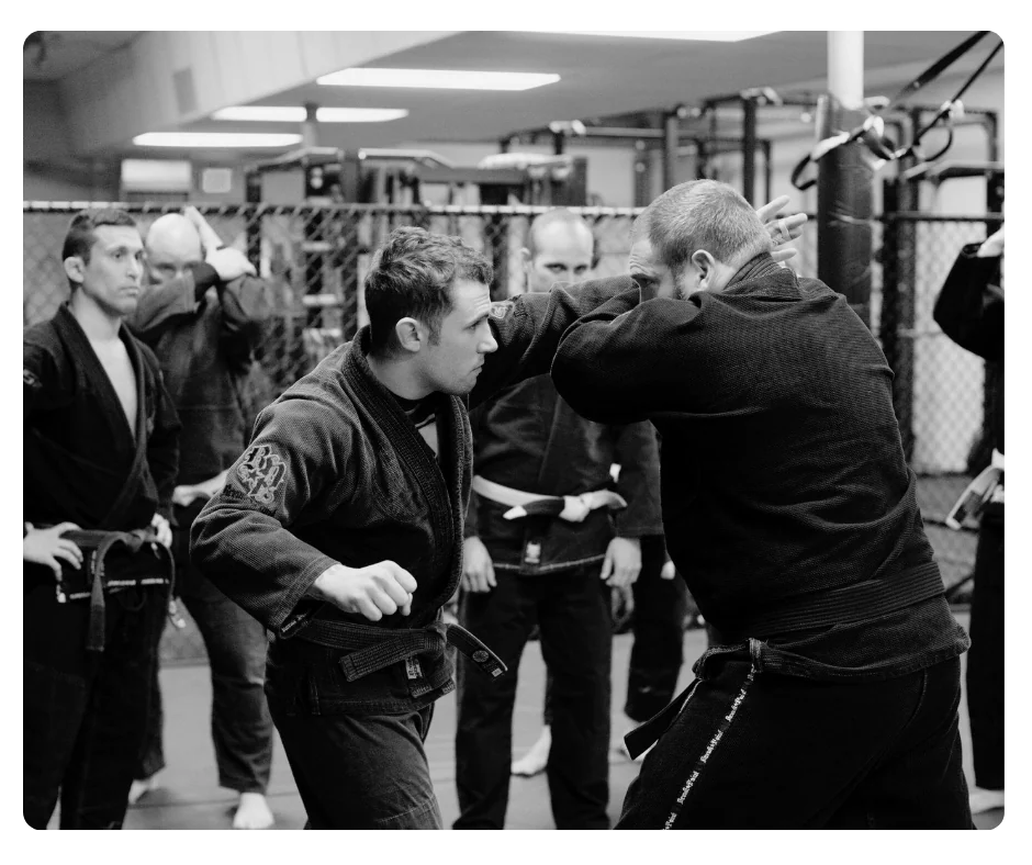 Students practicing martial arts together