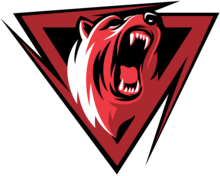 TRITAC bear logo